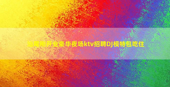 汕尾刚开业豪华夜场ktv招聘DJ模特包吃住